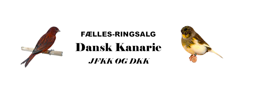 Ringsalg Danskkanarie